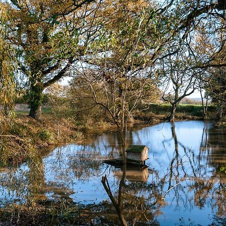 Charming Picturesque Cottage - Nr Tenterden & Rye, Pets Welcomed Rolvenden ภายนอก รูปภาพ