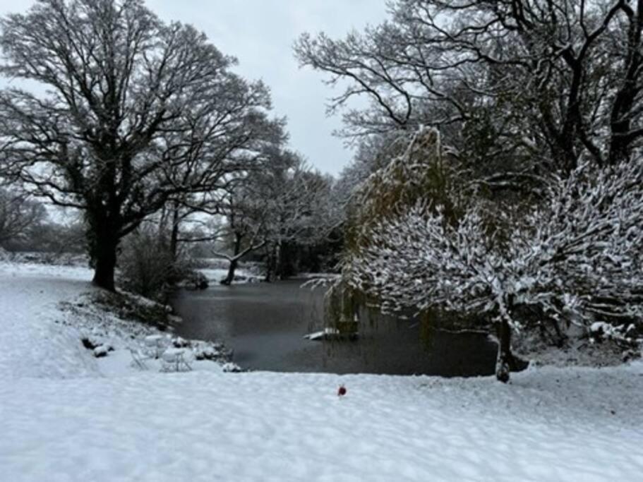 Charming Picturesque Cottage - Nr Tenterden & Rye, Pets Welcomed Rolvenden ภายนอก รูปภาพ