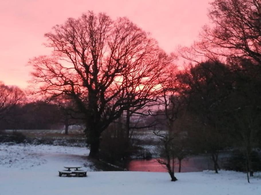 Charming Picturesque Cottage - Nr Tenterden & Rye, Pets Welcomed Rolvenden ภายนอก รูปภาพ
